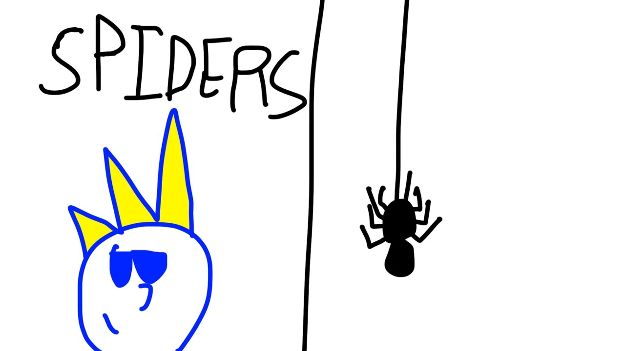 I like spiders